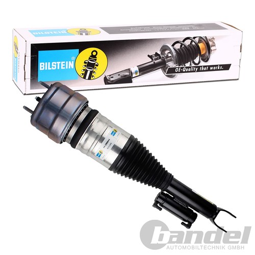 Molla pneumatica bilstein - molla,
