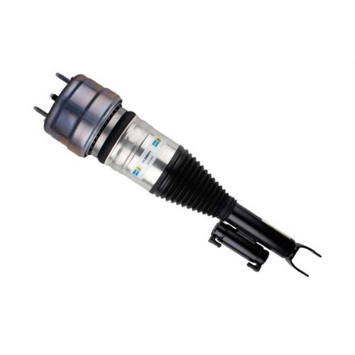 Ammortizzatore pneumatico